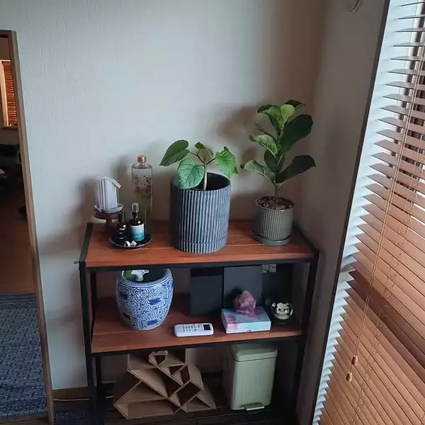 「「自分にあうものを厳選して。お気に入りの植物や家具に囲まれた1DKの暮らし」 by primaloftさん」の画像