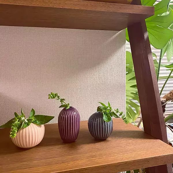 「お花もインテリアももっと楽しめる♪おすすめフラワーベース6選」の画像