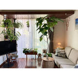 「1日の疲れが癒される♪今すぐ帰りたくなるお部屋づくりのコツ」の画像2