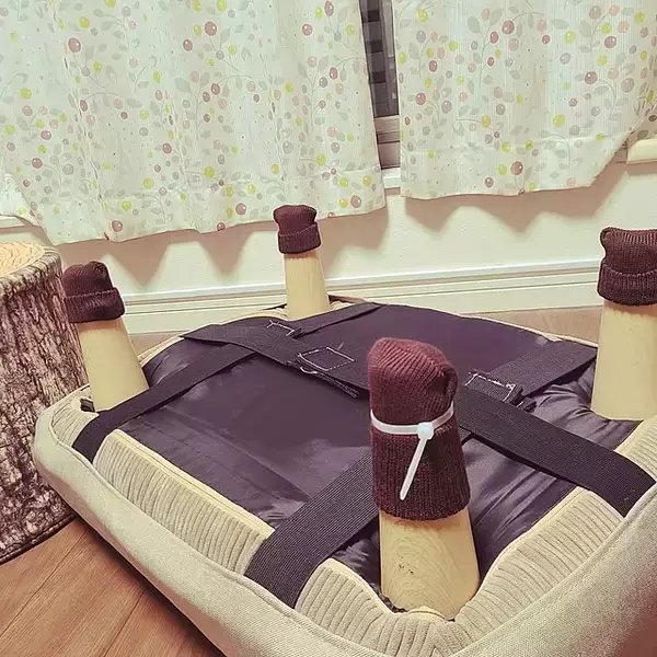 「結束バンドであったらいいなを実現！暮らしが便利になる活用法6選」の画像