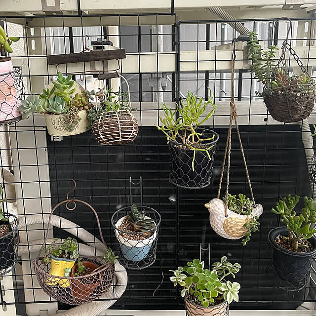 結束バンドであったらいいなを実現！暮らしが便利になる活用法6選