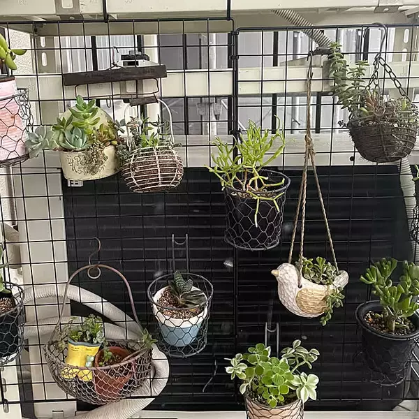 「結束バンドであったらいいなを実現！暮らしが便利になる活用法6選」の画像