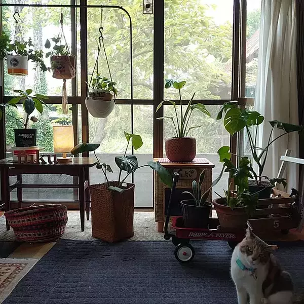 「吊るせばお部屋がすっきり☆IKEAのハンガーラックの活用アイディア」の画像