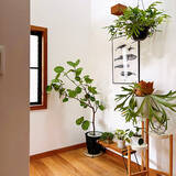 「玄関をアップデートしたい方へ。今取り入れたいIKEAアイテムをご紹介」の画像5