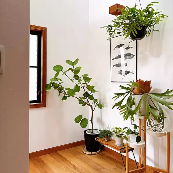 「玄関をアップデートしたい方へ。今取り入れたいIKEAアイテムをご紹介」の画像