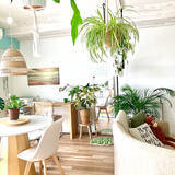 「レイアウトが暮らしやすさのポイント！理想の住まいを叶えてくれるリビングダイニングのコーディネート実例」の画像4