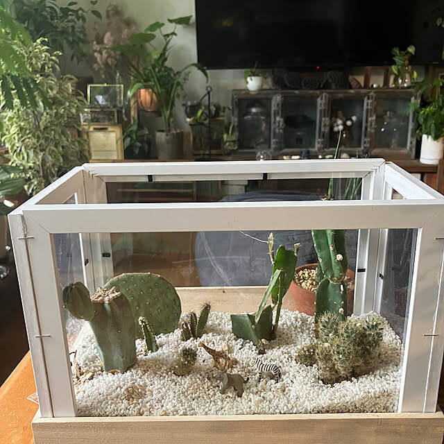 作って楽しい！使って便利！ダイソーのフォトフレームのDIYアイデア帖