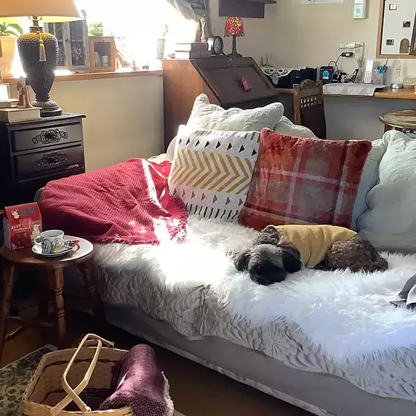 「暮らしを彩り暮らしに寄り添う♪ニトリでおすすめのインテリア雑貨をご紹介」の画像