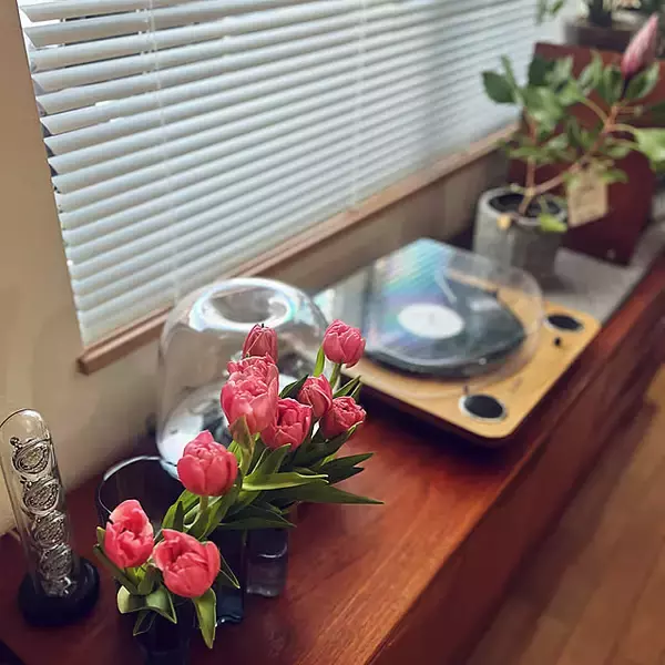 【今週の〇〇】テーマは「植物のある暮らし」！最新の投稿写真をピックアップ