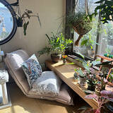 「【今週の〇〇】テーマは「植物のある暮らし」！最新の投稿写真をピックアップ」の画像2