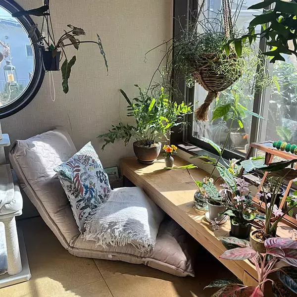 「【今週の〇〇】テーマは「植物のある暮らし」！最新の投稿写真をピックアップ」の画像