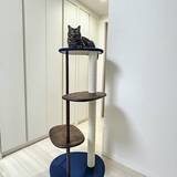 「長く愛用したくなる♪カリモクの家具を使われている実例10選」の画像11