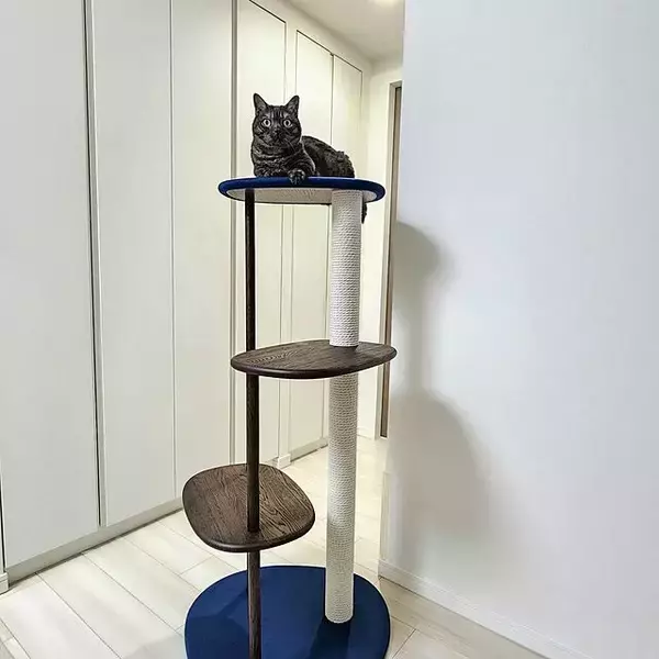 「長く愛用したくなる♪カリモクの家具を使われている実例10選」の画像