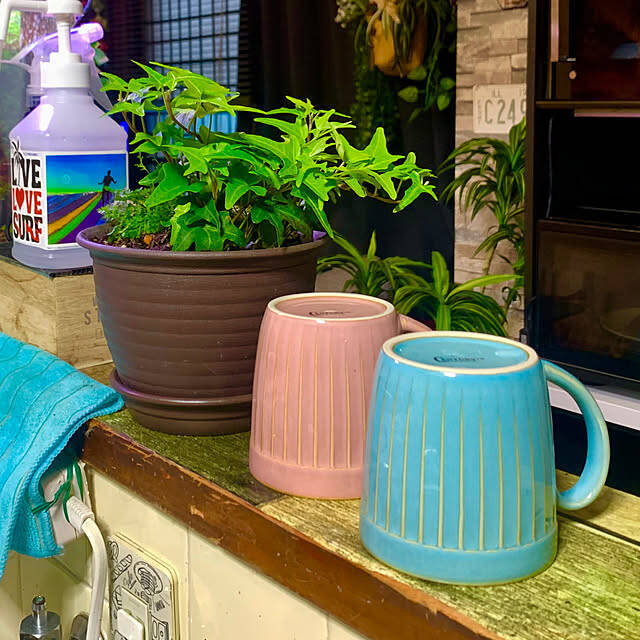 お気に入りでわくわくティータイムを♡セリアで見つけたマグカップ＆グラス