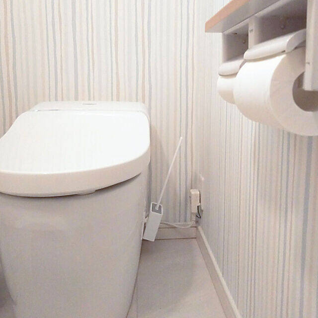 優れた機能性とデザイン！思わず掃除がしたくなるオススメ「トイレブラシ」