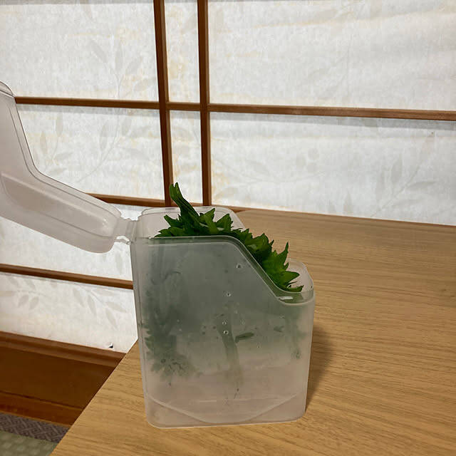 素材もサイズも形もきっと好みのものに出会える！優秀すぎる100均の保存容器をご紹介