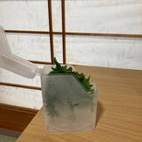 「素材もサイズも形もきっと好みのものに出会える！優秀すぎる100均の保存容器をご紹介」の画像5