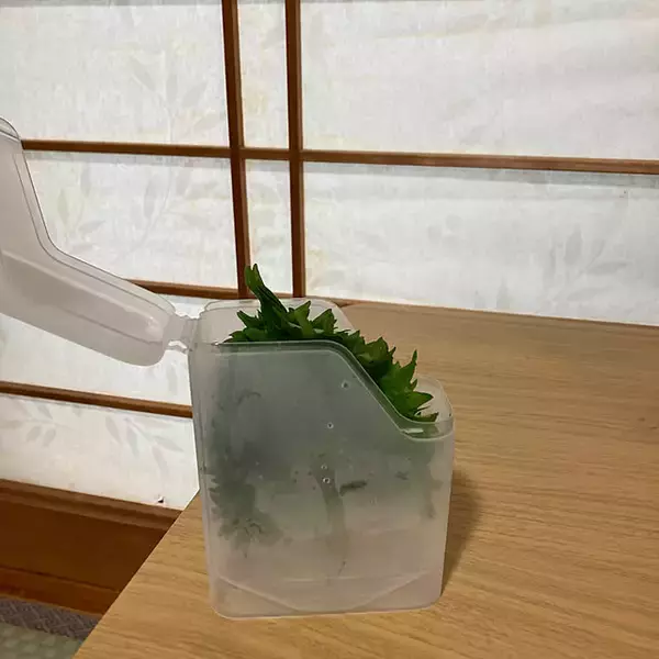 「素材もサイズも形もきっと好みのものに出会える！優秀すぎる100均の保存容器をご紹介」の画像