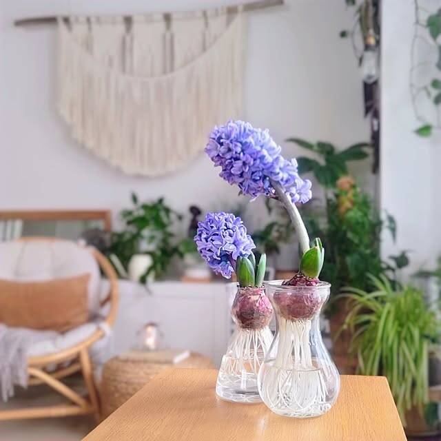 いつもの食卓や棚をパッと明るく♪春を呼び込む「花のある暮らし」5選