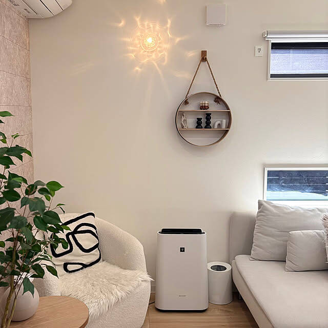 収納もディスプレイも欲しかったが叶う！ニトリのウォールシェルフ活用アイディア