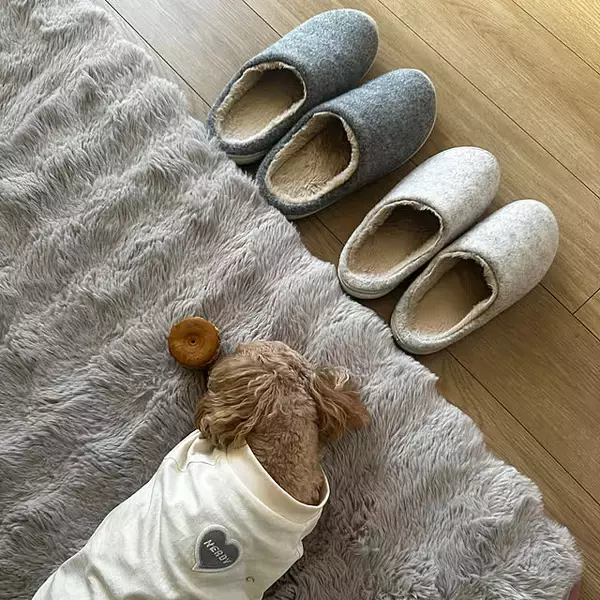 「ルームシューズから寝具・加湿・ラグまで。ニトリの買ってよかった冬支度実例5選」の画像