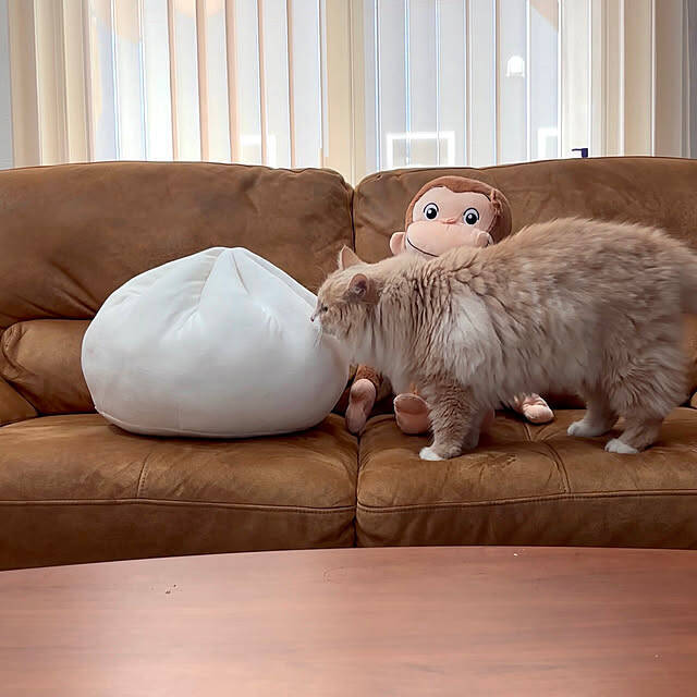 ルームシューズから寝具・加湿・ラグまで。ニトリの買ってよかった冬支度実例5選