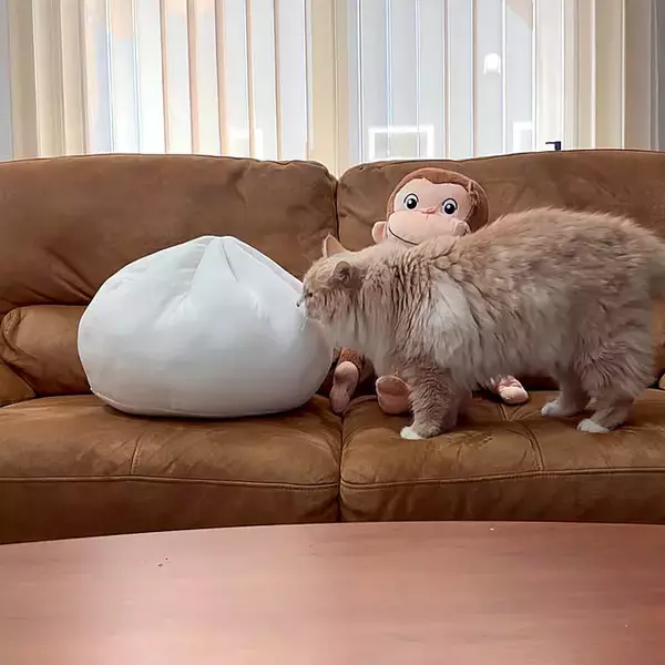 「ルームシューズから寝具・加湿・ラグまで。ニトリの買ってよかった冬支度実例5選」の画像