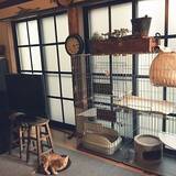 「センスあふれるお部屋作りに最適！塩系インテリアのコツがわかる実例10選」の画像8