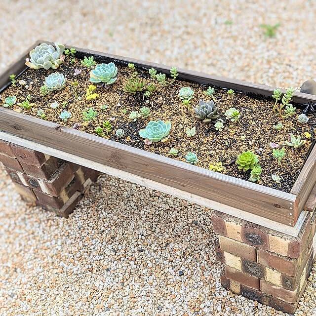 お庭ではもちろん室内でも活用できる！ナチュラル感が魅力のレンガDIY