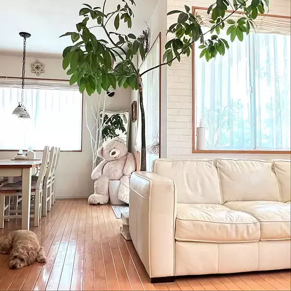 「センスもコスパも大満足！コストコで見つける暮らしの中のお気に入り」の画像