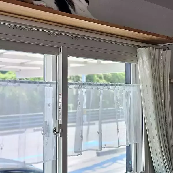 お部屋をぱっとイメージチェンジ！バリエーション豊富なダイソーのカフェカーテン6選