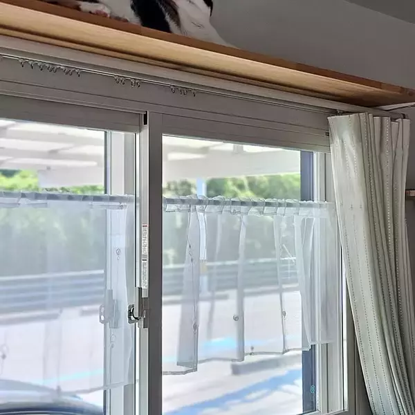 「お部屋をぱっとイメージチェンジ！バリエーション豊富なダイソーのカフェカーテン6選」の画像