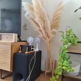 「こんな使い方があったなんて！100均で見つけた便利アイテムの意外な活用法」の画像2