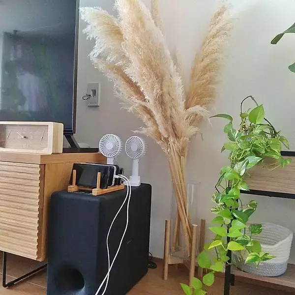 「こんな使い方があったなんて！100均で見つけた便利アイテムの意外な活用法」の画像