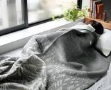 「気持ちよく使えるから手放せない！おすすめのブランケット＆毛布」の画像12