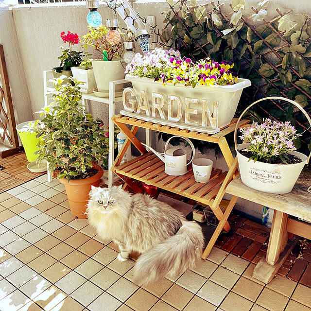 初心者さんにもベテランさんにもうれしい品ぞろえ♪ニトリのガーデニングアイテム