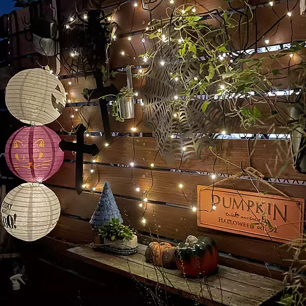 「初心者さんにもベテランさんにもうれしい品ぞろえ♪ニトリのガーデニングアイテム」の画像