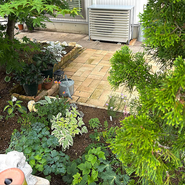 初心者さんにもベテランさんにもうれしい品ぞろえ♪ニトリのガーデニングアイテム