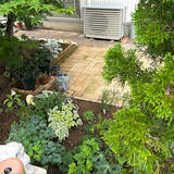 「初心者さんにもベテランさんにもうれしい品ぞろえ♪ニトリのガーデニングアイテム」の画像7