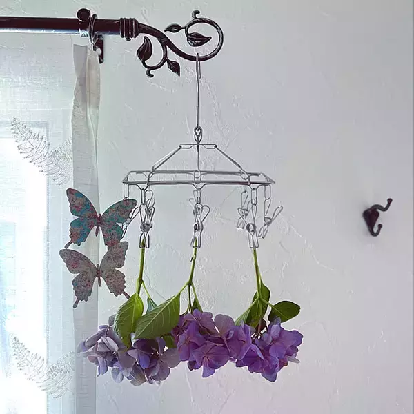 「【みんなが選んだ！】干すのも収納もラクになる！3COINSのハンガー4選」の画像