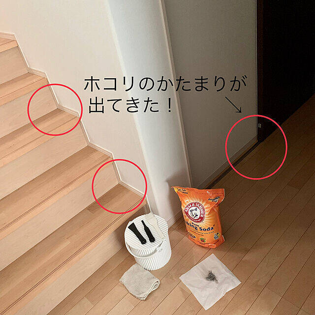 もう悩まない！おうちの気になる「髪の毛」「ホコリ」対策方法