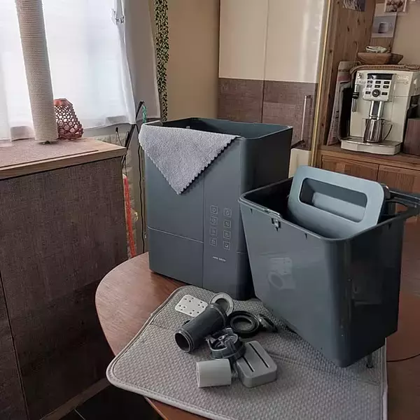 「【今週の〇〇】テーマは「家事・掃除」！最新の投稿写真をピックアップ」の画像