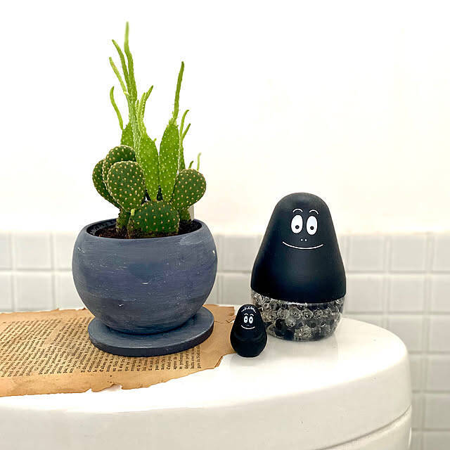 お掃除クリーナーから収納棚まで♪トイレを快適に整える100均アイテム