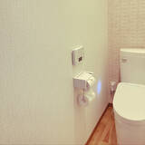 「お掃除クリーナーから収納棚まで♪トイレを快適に整える100均アイテム」の画像5