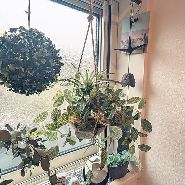 【今週の〇〇】テーマは「玄関」！最新の投稿写真をピックアップ