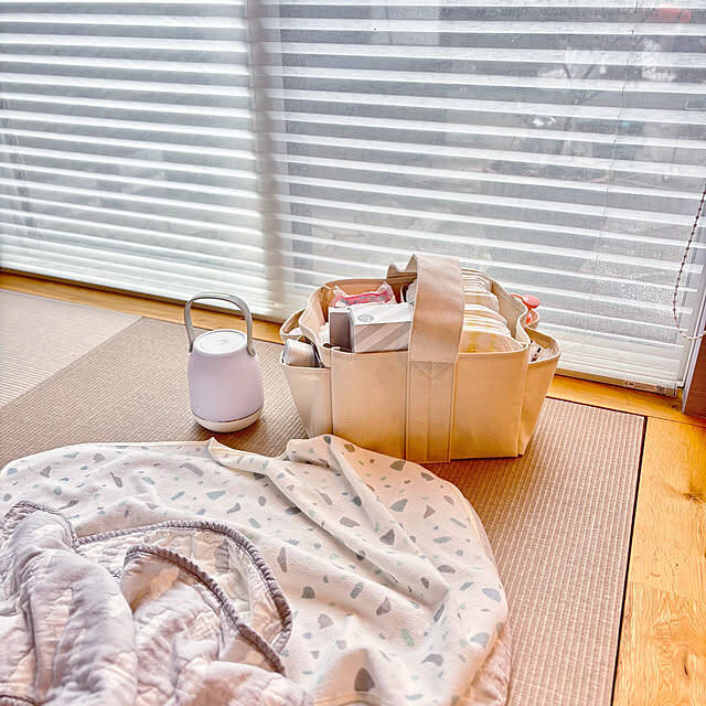 すっきりまとまり、そのまま移動できる！持ち運びが可能な収納アイテムと活用実例6選