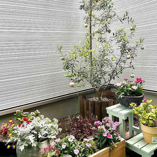 自然を感じながらくつろぎの空間づくりを♪中庭のあるおうちカタログ