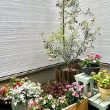 「自然を感じながらくつろぎの空間づくりを♪中庭のあるおうちカタログ」の画像5