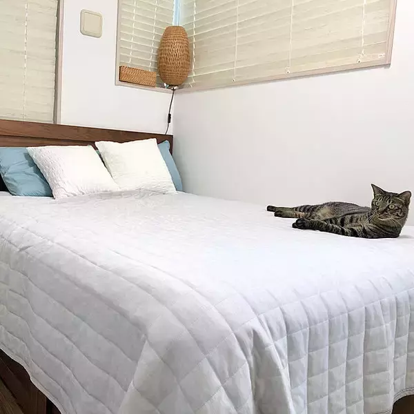 「ニトリでそろう♪夏を感じる涼しげアイテムを取り入れたお部屋♡」の画像