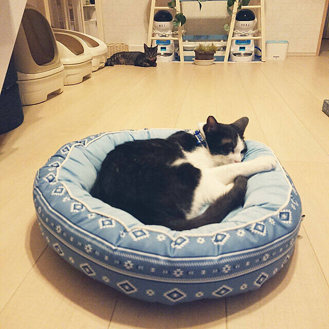 ニトリでそろう♪夏を感じる涼しげアイテムを取り入れたお部屋♡